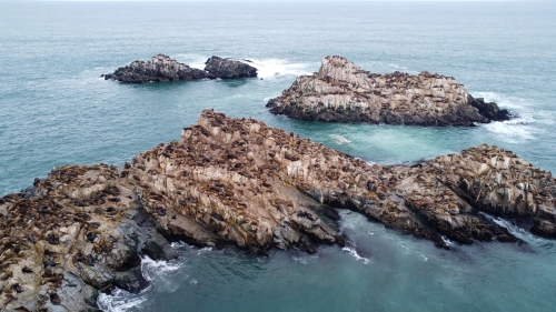 Imagen Santuario de la Naturaleza "Islote Lobería"